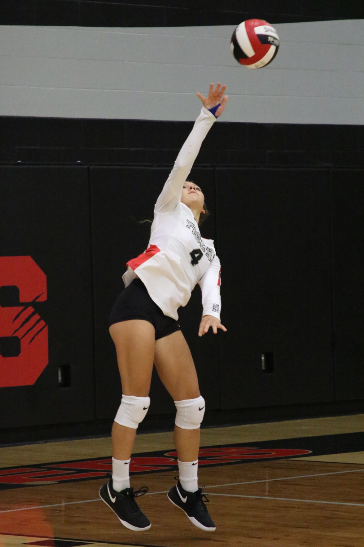 Teske_SHHawks_7201.JPG